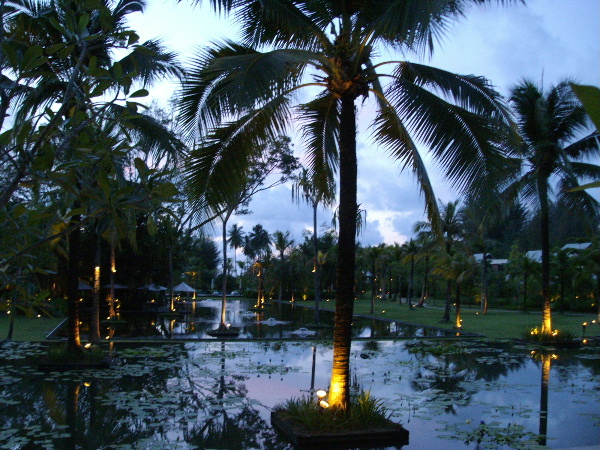 d0080998_2242531.jpg