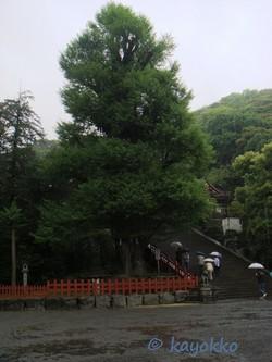 e0007801_1024448.jpg
