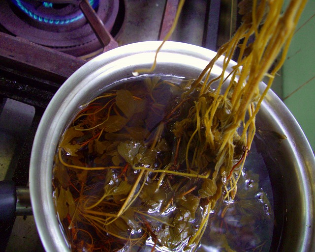 c0125702_23473467.jpg