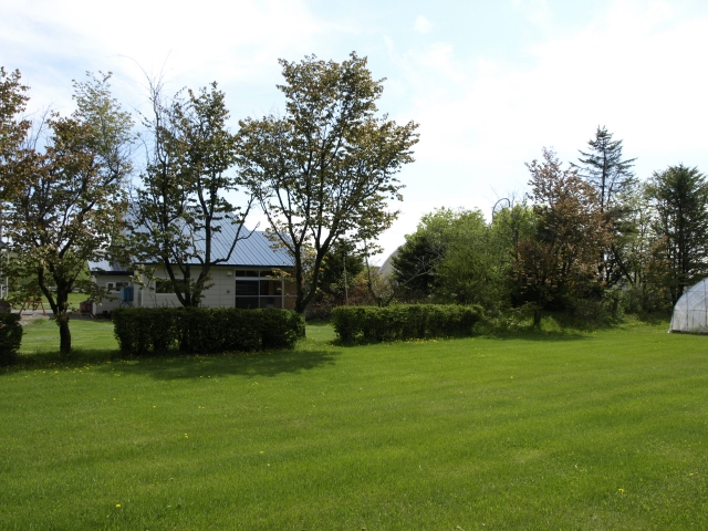 f0020302_21444637.jpg