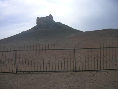 f0146802_935434.jpg