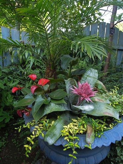 f0065604_2111237.jpg