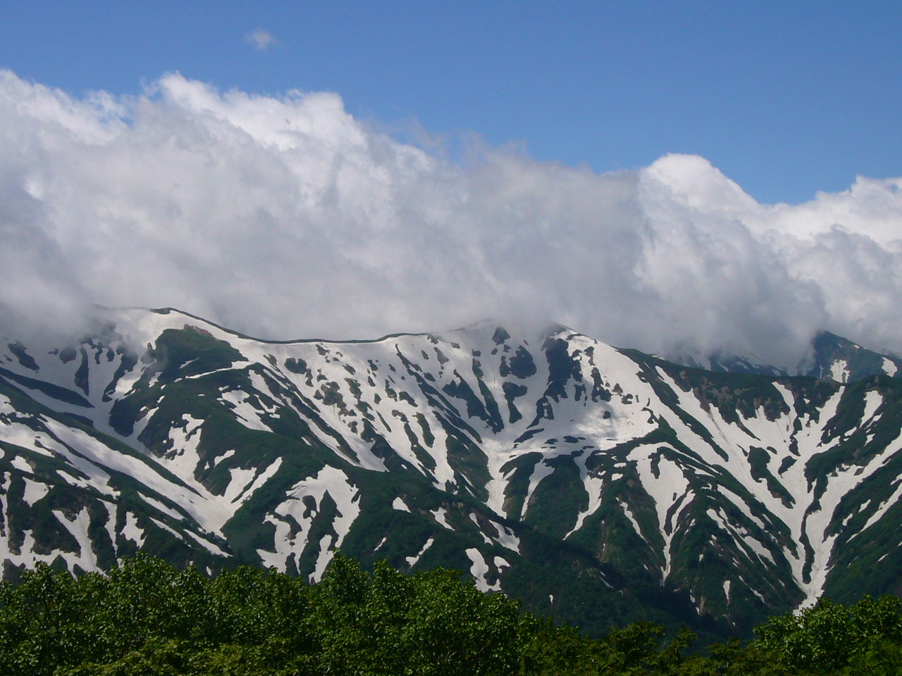 b0050305_2094579.jpg