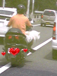 f0151905_11362012.jpg