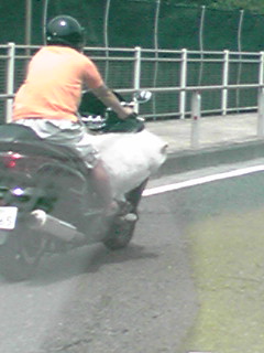 f0151905_11383364.jpg