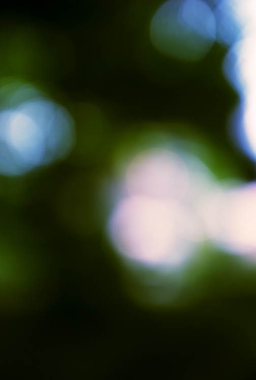 c0191707_15285850.jpg