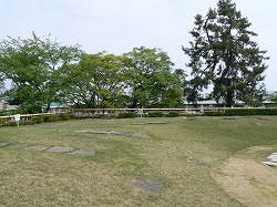 f0006509_01031.jpg