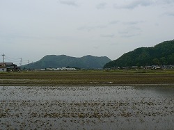 f0006509_1402561.jpg