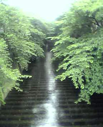 f0143412_2303287.jpg
