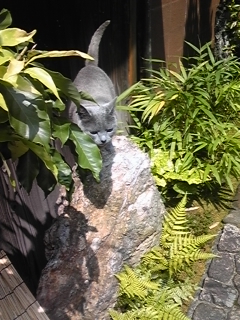 e0156015_22521269.jpg