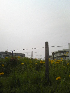 c0140616_23462293.jpg