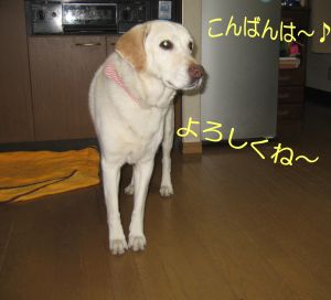 b0008217_1544818.jpg