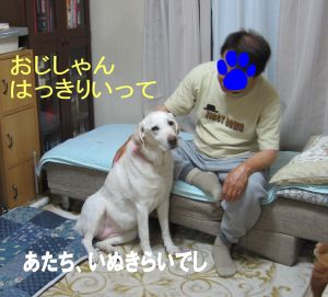b0008217_1546613.jpg