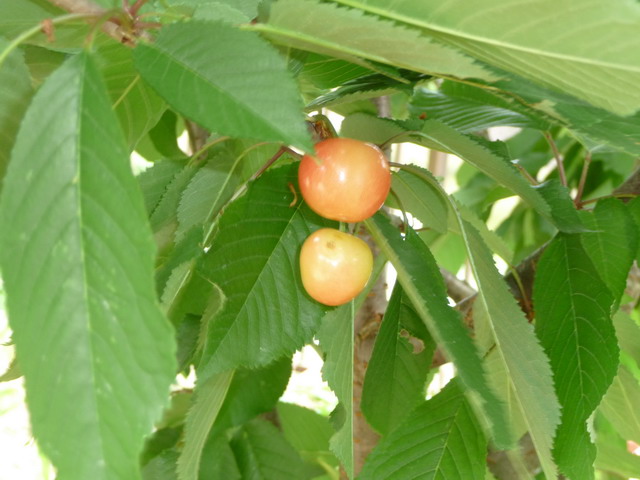 b0174217_1925578.jpg