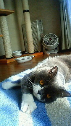 f0032020_012478.jpg