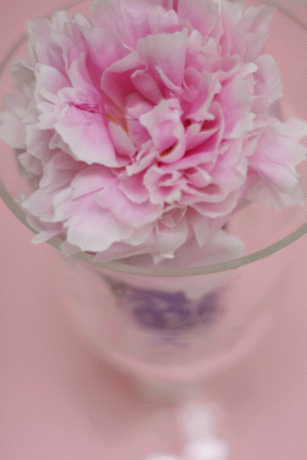 e0158121_17334181.gif