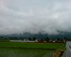 b0073322_22381140.jpg