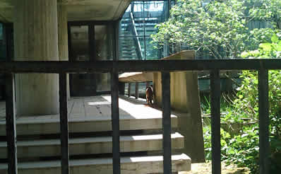 b0096622_2275810.jpg