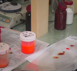 d0068023_14065.jpg