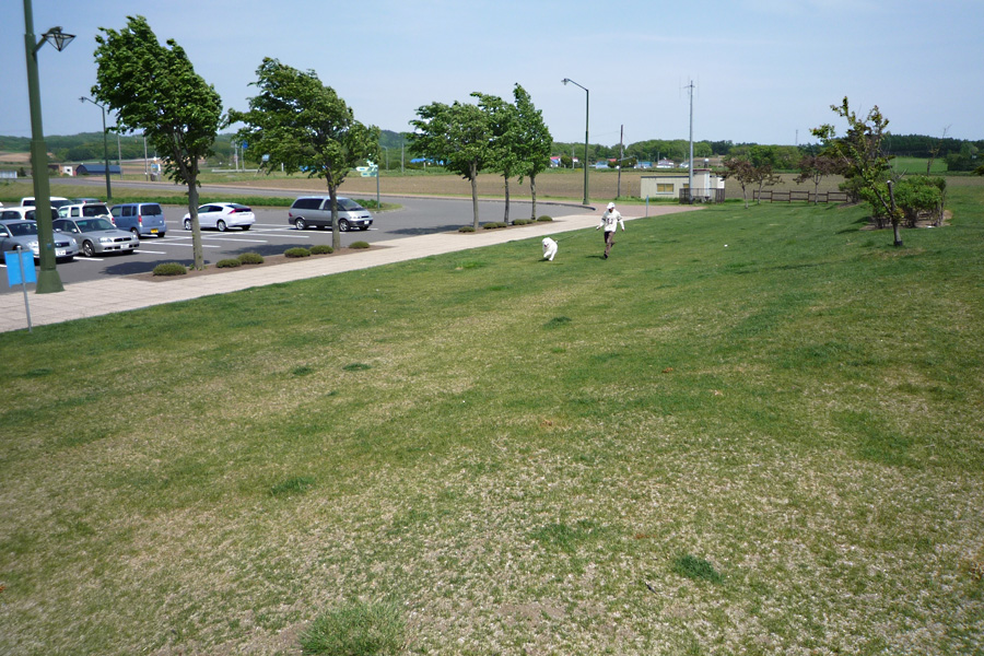 b0146024_22304953.jpg
