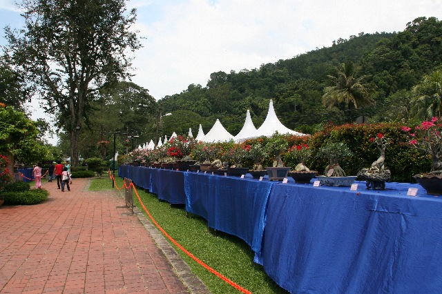 d0116625_1641647.jpg