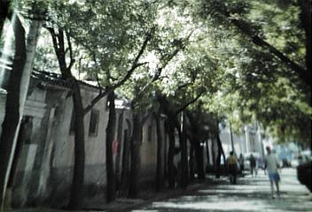 a0098027_1704970.jpg