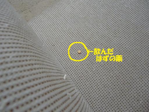 c0156328_1558924.jpg