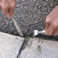d0033734_13251038.gif