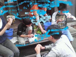 b0024439_858870.jpg