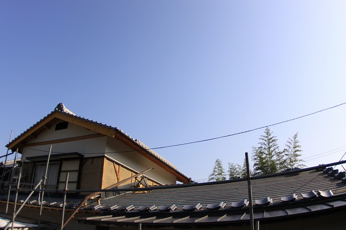 b0168041_17293556.jpg