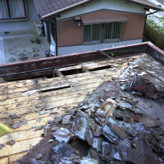 d0089742_234171.jpg