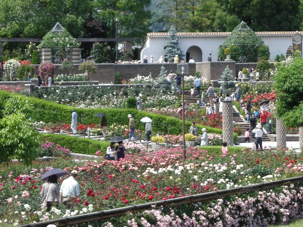e0173743_0123857.jpg