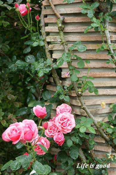 b0140347_22154278.jpg