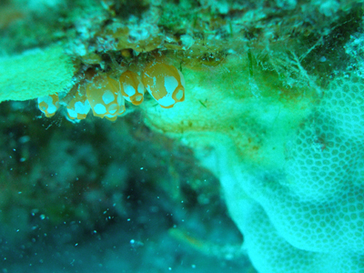 d0065247_21255015.jpg