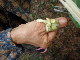 c0047449_010597.jpg