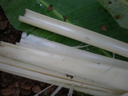 c0047449_8381550.jpg