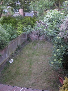 e0018350_7172743.jpg