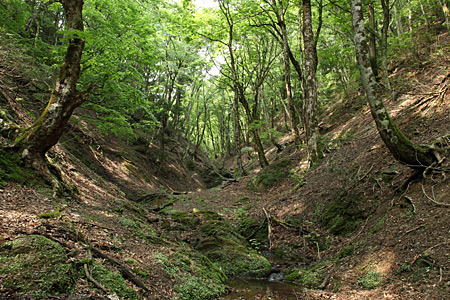 e0113053_22413126.jpg