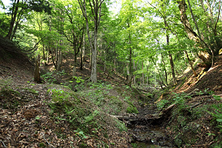 e0113053_22421417.jpg
