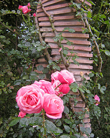 a0001354_21593772.jpg