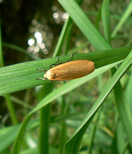 d0091754_3253062.jpg