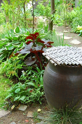 e0025655_5373185.jpg