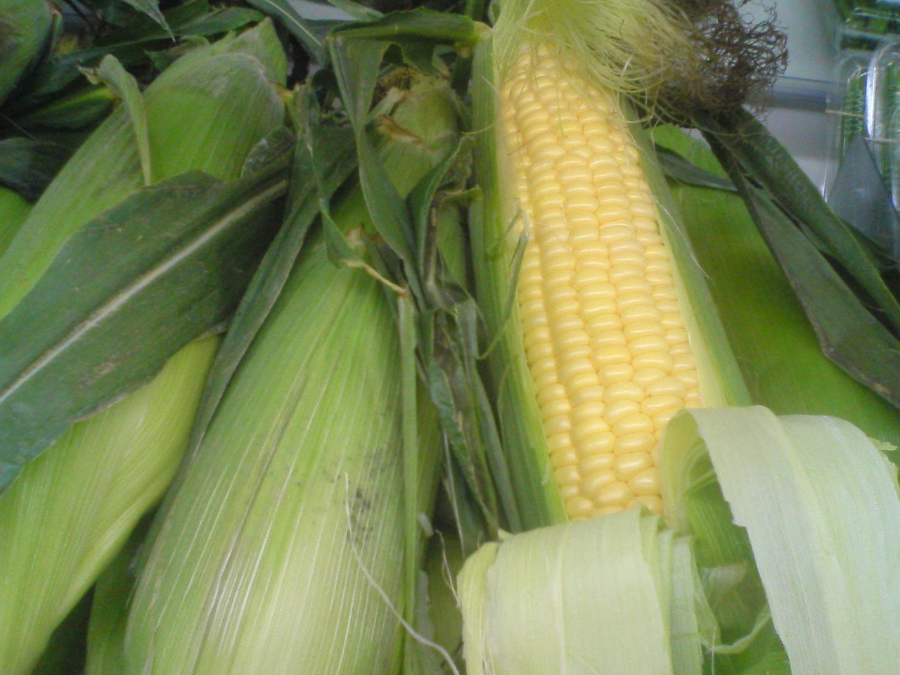 d0108256_16452669.jpg