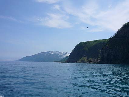 d0147156_11541856.jpg