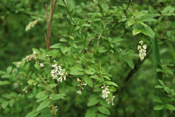 c0043361_0525779.jpg