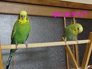 f0196665_23514212.jpg