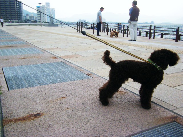 f0207970_8133918.jpg