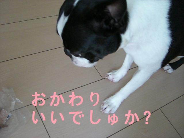 c0179376_21244650.jpg