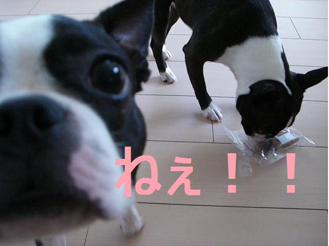 c0179376_21261610.jpg