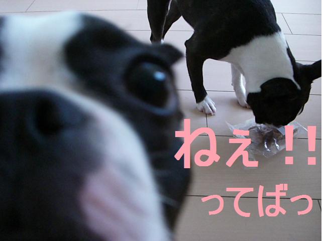 c0179376_21262380.jpg
